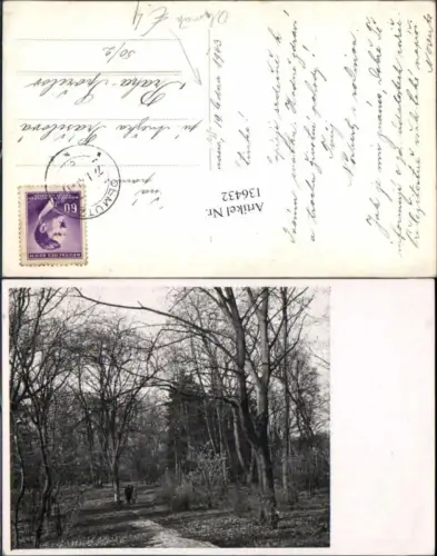 136432,Olmütz Olomouc detail 1940 im Wald