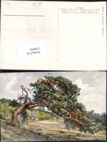 138493,Olmütz Olomouc Borovice Dyje u Bitova Mähren