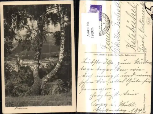 180926,Reichenberg Foto Ak Liebenau Teilansicht m. Baum Birke