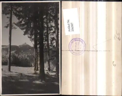 256387,Foto AK Jeschken- u. Isergebirge Jested b. Reichenberg Liberec Partie Wald Bäume Blick auf Jeschkenhaus