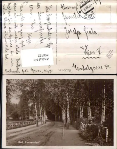 256422,Bad Kunnersdorf Lazne Kundratice Straßenansicht Birken