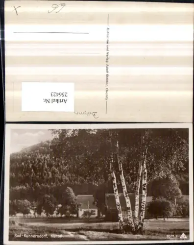 256423,Bad Kunnersdorf Lazne Kundratice Kühtal Partie Birken