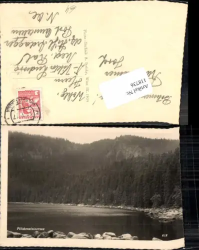 118736,Plöckensteinersee im Böhmerwald Böhmen Eisenstein