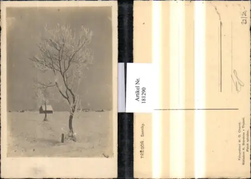 181290,Südböhmen Trebon Wittingau Senniky Winterbild Motiv