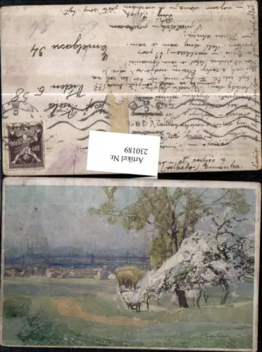 230189,KünstlerAK J. Setelik Brno Brünn Totale v. Roten Berge