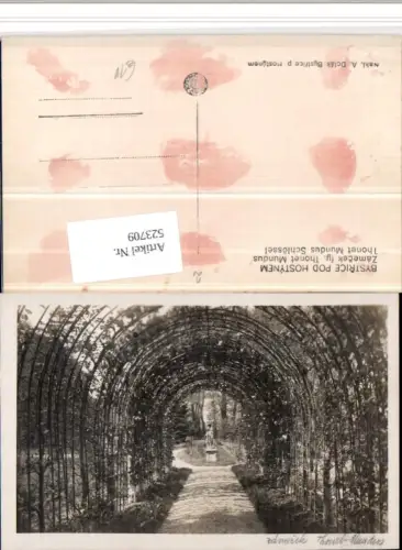 523709,Bystrice pod Hostynem Bistritz an d. Hostein Thonet Mundus Schlössl