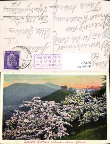 582557,Rehlovice roß Tschochau Dubitzer Kirchlein b. Salesel a. d. Elbe zur Blütezeit Czech Republic
