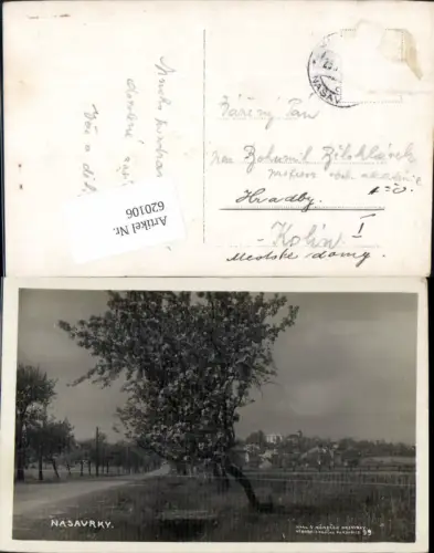620106,Nasavrky Ansicht Straße Allee Baum Nassaberg Hlinsko Chrudim Pardubitz