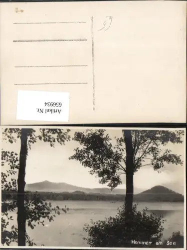 656934,Hammer a. See Ufer Bäume Hamr na Jezere Czech Republic
