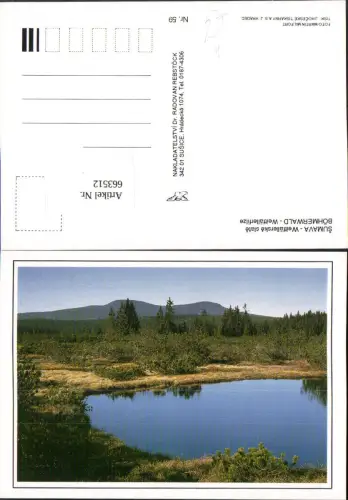 663512,Sumava Weitfällerske slate Böhmerwald Modrava Czech Republic