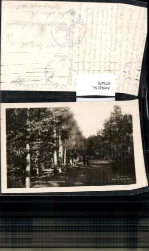 673478,Foto Ak Beroun Modrinova alej Park Bäume Feldpost