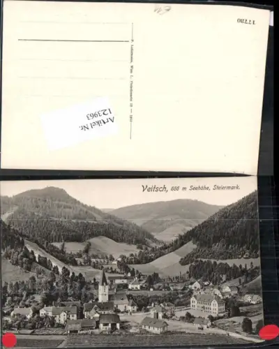 123963,Veitsch Tolle Ortsansicht um 1913