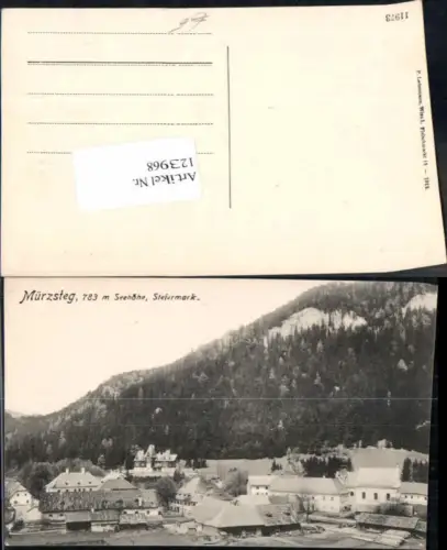 123968,Mürzsteg Tolle Teilansicht 1912