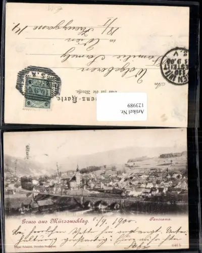 123989,Gruss aus Mürzzuschlag Panorama 1900