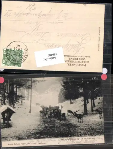 159409,Hirschfütterung bei Mürzsteg 1905 Bahnpost 3615 n Mürzzuschlag