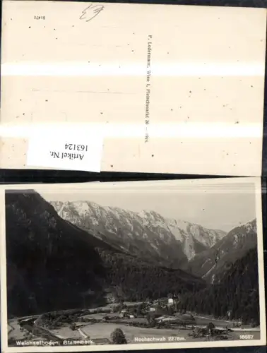 163124,Weichselboden