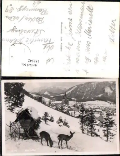 183542,Mariazell Foto Ak i. Winter Wild Rehe b. Wildfütterung i. Vordergrund