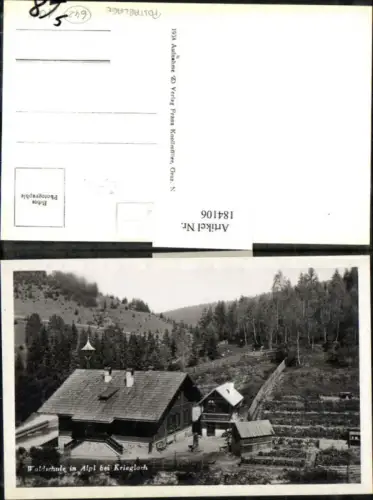 184106,Waldschule in Alpl b. Krieglach Postablage Kofeggerl Stempel