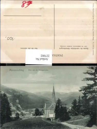 227002,Mürzzuschlag Blick v. d. Roseggerruhe Kirche