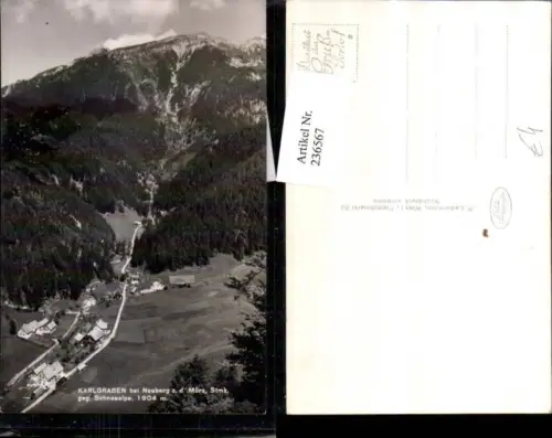 236567,Karlgraben Totale b. Neuberg an d. Mrz geg. Schneealpe
