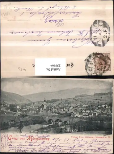 239764,Gruß aus Mürzzuschlag Totale 1899