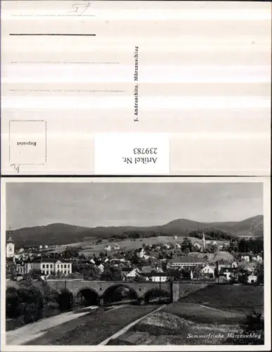 239783,Mürzzuschlag Teilansicht Brücke