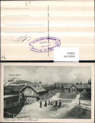 239816,Mariazell Bürgeralpe m. Ötscher