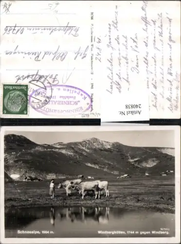 240838,Schneealpe Windberghütten geg. Windberg Bergkulisse Kühe b. Kapellen an d. Mürz