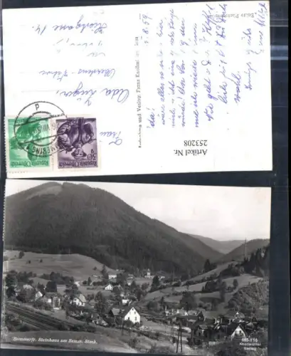 253208,Steinhaus am Semmering Teilanischt