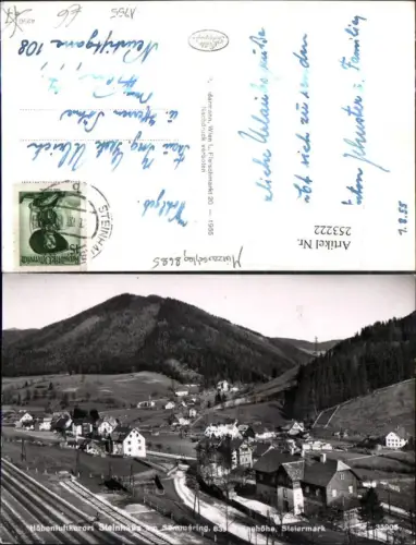 253222,Steinhaus am Semering Teilansicht