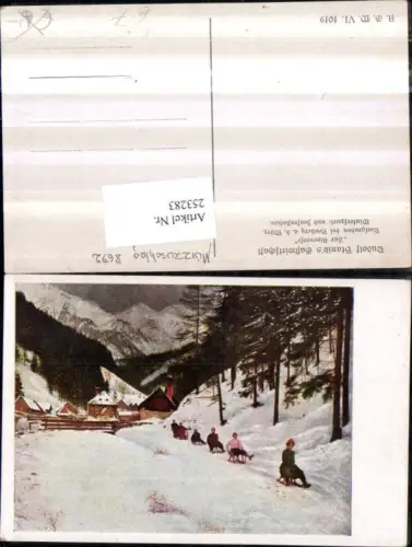 253283,Künstler AK Rudolf Blaniks Gastwirtschaft z. Alpenrose im Karlgraben b. Neuberg an d. Mürz Personen Rodeln Schl