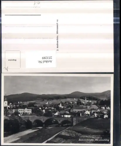 253289,Mürzzuschlag Teilansicht m. Viadukt Brücke