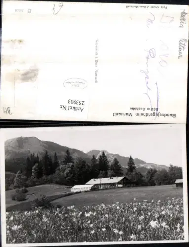 253903,Bundesjugendheim Mariazell Blumenwiese