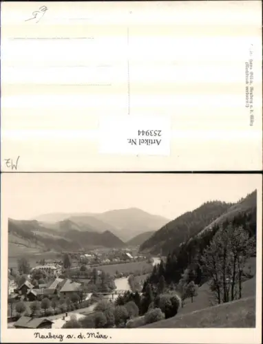 253944,Neuberg an d. Mürz Teilansicht Brücke