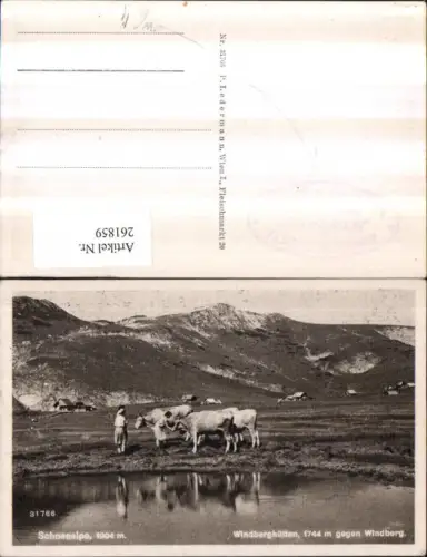 261859,Windberghütten geg. Windberg u. Schneealpe Bergkulisse b. Kapellen an d. Mürz