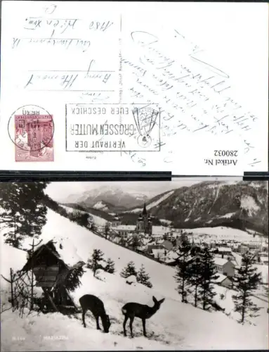 280032,Mariazell Teilansicht Bergkulisse Rehe Futterstelle Winterbild