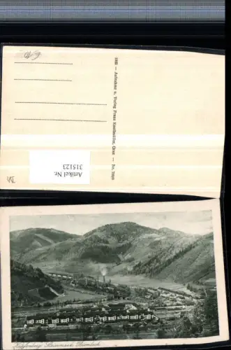 315123,Kapfenberg Diemlach Totale Fabrik