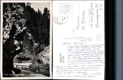 315339,Frein an d. Mürz Partie beim Toten Weib