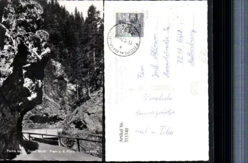 315340,Frein an d. Mürz Partie beim Toten Weib