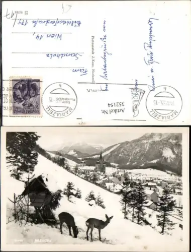 352154,Mariazell Teilansicht Bergkulisse Rehe Futterstelle Winterbild