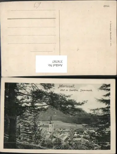 374787,Mariazell Teilansicht