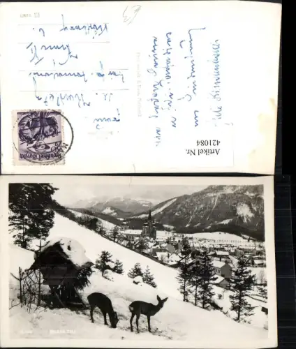 421084,Mariazell Teilansicht Wild Rehe Futterstelle Winterbild