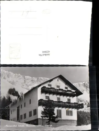 425041,Foto Ak Alpengasthof Scheikl Veitsch Winteransicht