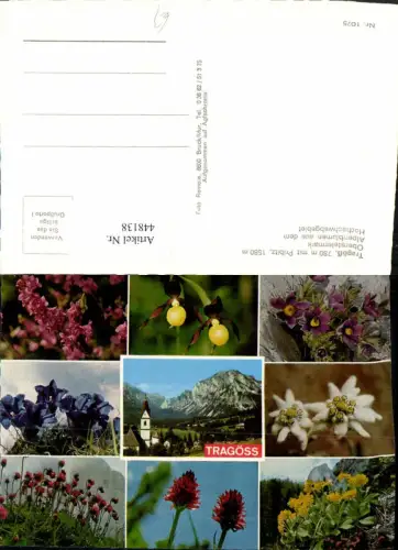 448138,Tragöß Kirche Alpenblumen Enzian Edelweiß Mehrbildkarte