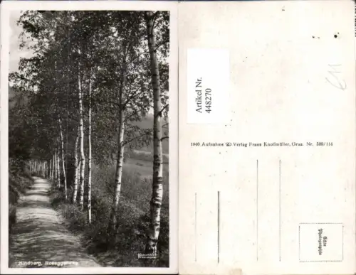448270,Kindberg Roseggerweg Wegpartie Bäume Birken