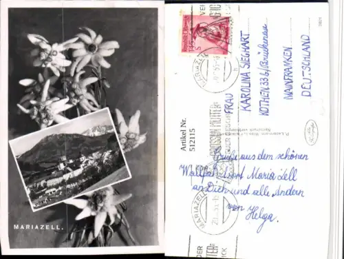 512115,Mariazell Totale Passepartout Edelweiß Blumen