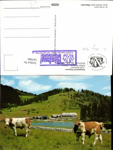 547086,Teichalpe Teichalm Vorau Almgasthaus Vorauer