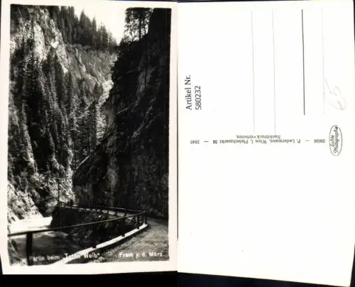 580232,Foto Ak Partie b. Toten Weib Frein a. d. Mürz Neuberg an der Mürz