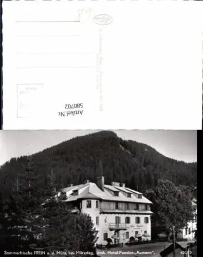 580702,Foto Ak Frein a. d. Mürz Neuberg an der Mürz b. Mürzsteg Hotel Pension Aumann
