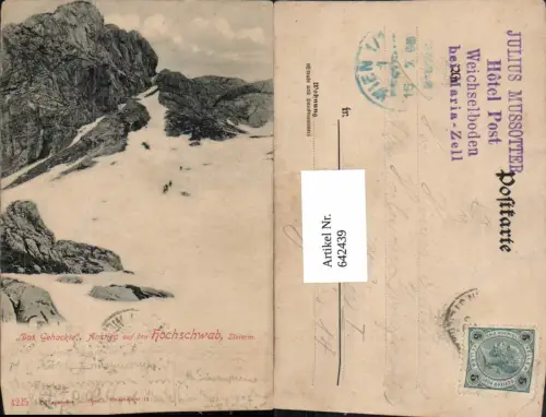 642439,Das Gehackte bei Aflenz Thörl Hochschwab pub Ledermann 4225